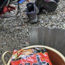 사지목 나무그늘 이미지