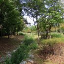 미사누리1호공원 이미지