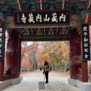 정읍 내장산🏔️ 블랙야크100대명산 가을등산+케이블카