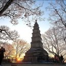 여주-0640 티스토리