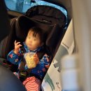 브이시즌 | 다이치 브이가드 시즌2 프리미엄 토들러 유아동 카시트 ISOFIX 후기 | 두돌 아기 토들러 교체
