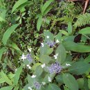 의귀새마을금고 이미지