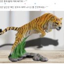 임인년 새해 신년운세 - (호랑이띠 특징과 12간지 다른띠와의 관계) 이미지