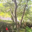 (주)건축사사무소 아라가야 이미지