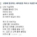 댓글 시인 제페토 이미지