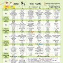 김해시 자전거교육장 | 김해 어린이집 [색동원 어린이집] 너무 만족해서 추천해봄!