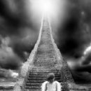 HEAVEN DOG 이미지