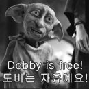 영카워시 이미지