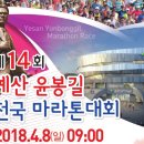 예산-14 이미지