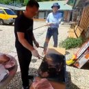 대풍호 | 생생정보 2205회 1월 9일 방송에 소개된 명소와 맛집 수항골박물관 할머니손순대 스핑크스타조농장