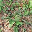 홍성 청운대학교 이미지