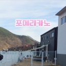 포메리카노