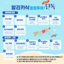 보홀스케치