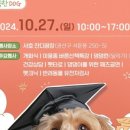 고Dog 네이버블로그