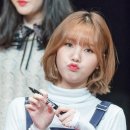 팬디자인 이미지