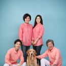 견을위해 자연을 담다 | [안산 가족사진] 따스한 봄, 우리 가족의 소중한 순간을 담다 🌸 (봄맞이 특별 이벤트)