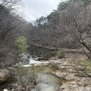 한국불교치악산관음사 | [원주한바퀴1] 영화살목지→치악산→구룡사→복숭아불고기