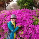 양평막국수 이미지