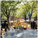 몬테소리어린이집 이미지