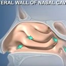 코숨한의원 이미지