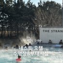 써니존 사우나 | 네스트호텔 부대시설(겨울 수영장 스파 사우나 헬스장 플라츠뷔페 조식 룸서비스)총정리!