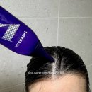 영광솔루션 | 헤드스파7 트리플 솔루션 트리트먼트 후기 30대 여성 탈모 얇은 모발 볼륨케어 추천