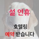 개와 사람(애견호텔) 이미지