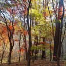 날마다 소풍 이미지