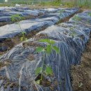 건양농장 이미지