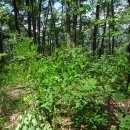 황우목장 이미지