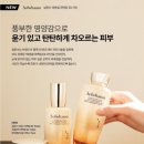 향장화장품 이미지