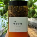 노화농장 이미지