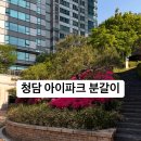 청담동 이미지