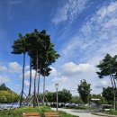 청라 노을공원 스케이트플라자 | [인천 서구] 인천 아이와 가볼만한 곳 👉 청라 노을공원 가족 추천