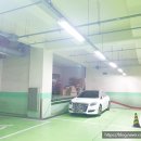 덕이화물 이미지