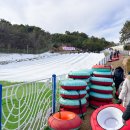 김해경남종합정비 | 김해가야테마파크 썰매 부산근교 경남 눈썰매장 추천 아이랑 가볼만한곳