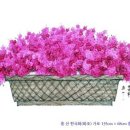 해피휴게소 이미지