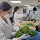 으뜸농약 이미지