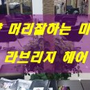 김승연헤어드레서