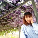 평리6동 행정복지센터 이미지