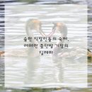 헤어오피스 이미지