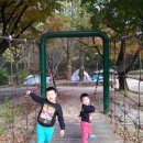 금오산 야영장 이미지