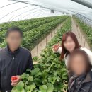 천애농장 네이버블로그