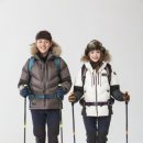 인쓰리