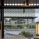 안면민박 | 퇴사 후 6박 7일 일본 여행 5일차 / 로망 실현의 날 (교토에서 자전거 타기, 일본인 친구 만나기)