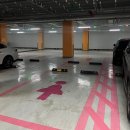 신내개발 | 신내 화덕생선구이 전문점 [ 박가네고등어 ] 솔직후기