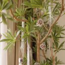 (주)라까사호텔 이미지