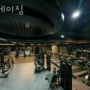 디데이짐 이미지