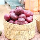 두리농장 이미지