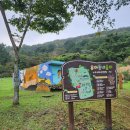 노루숲 | 제주 야생 노루를 만나는 비밀의 숲! 노루생태관찰원 &amp; 거친오름 트레킹 후기